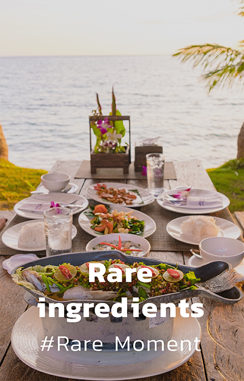 banner-rareingredients